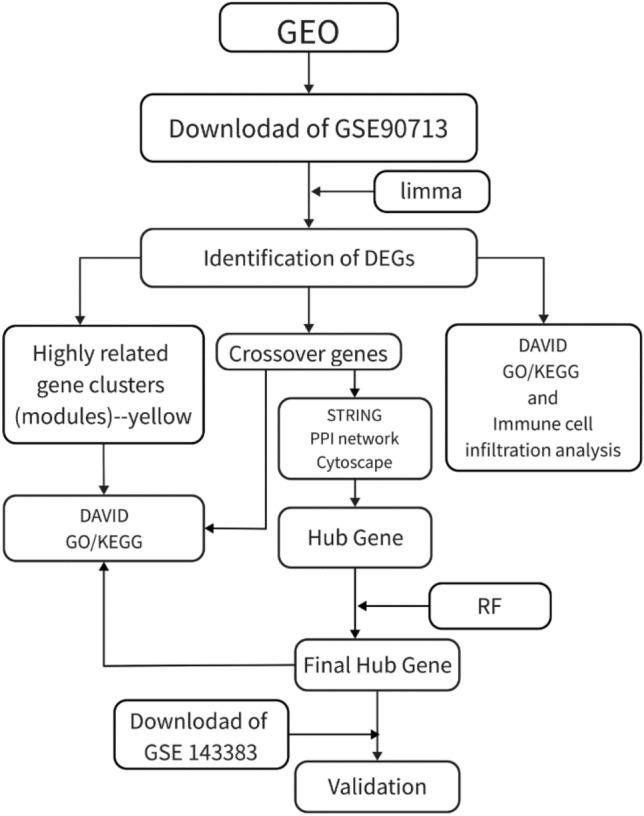 https://cdn.ncbi.nlm.nih.gov/pmc/blobs/4b39/12049343/49297c857d01/12672_2025_2396_Fig1_HTML.jpg