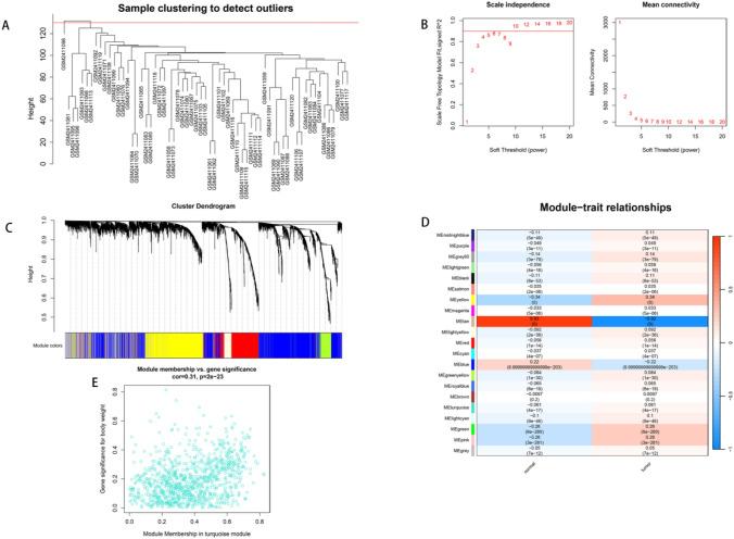 https://cdn.ncbi.nlm.nih.gov/pmc/blobs/4b39/12049343/6552ecef2ebe/12672_2025_2396_Fig3_HTML.jpg
