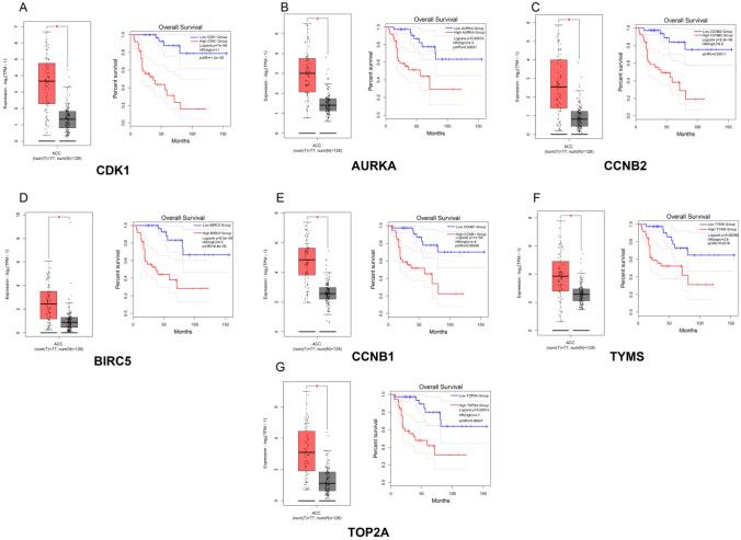 https://cdn.ncbi.nlm.nih.gov/pmc/blobs/4b39/12049343/bfd062e4a94a/12672_2025_2396_Fig6_HTML.jpg