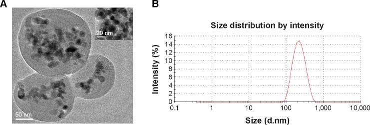 https://cdn.ncbi.nlm.nih.gov/pmc/blobs/4b39/4386779/a62595933eec/ijn-10-2507Fig1.jpg