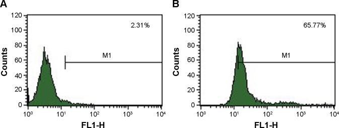 https://cdn.ncbi.nlm.nih.gov/pmc/blobs/4b39/4386779/eaace0291970/ijn-10-2507Fig3.jpg