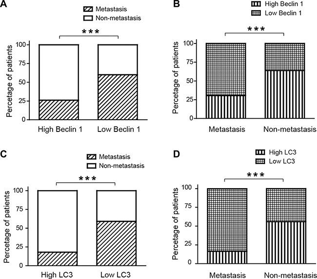 https://cdn.ncbi.nlm.nih.gov/pmc/blobs/4b39/5601714/7accd08f4120/oncotarget-08-59058-g002.jpg