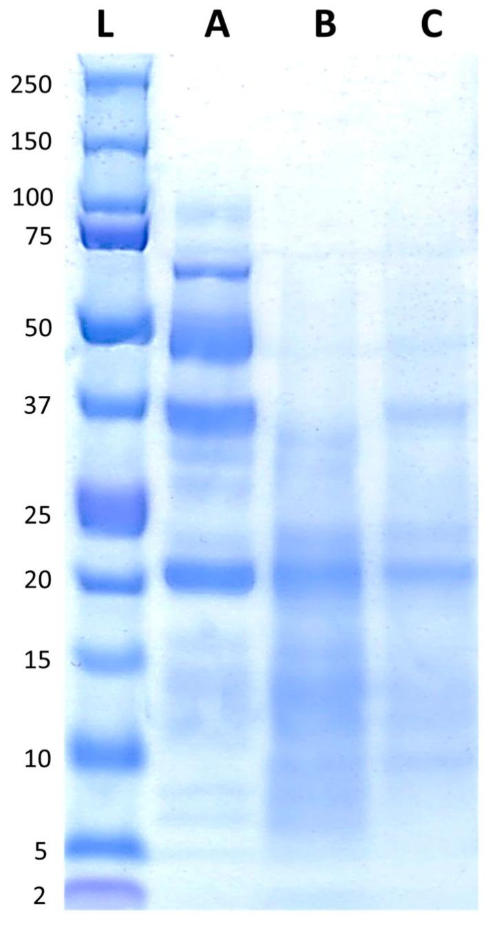 https://cdn.ncbi.nlm.nih.gov/pmc/blobs/4b3b/11431236/5b01366bf58f/foods-13-02922-g002.jpg