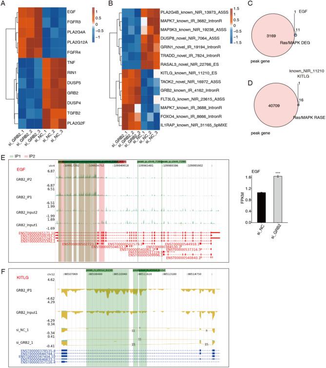 https://cdn.ncbi.nlm.nih.gov/pmc/blobs/4b3b/12034778/0a1ec3b5e277/41598_2025_99685_Fig5_HTML.jpg