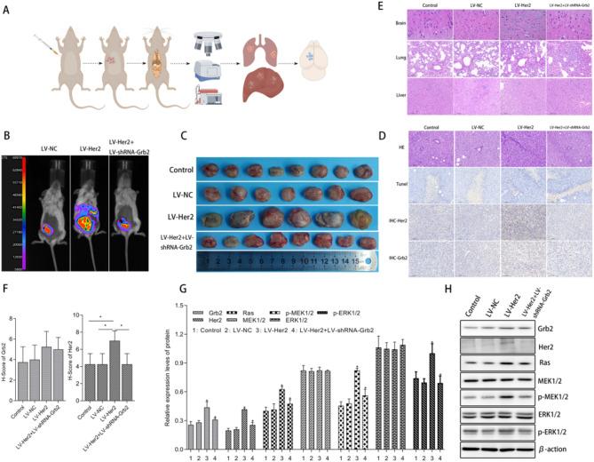 https://cdn.ncbi.nlm.nih.gov/pmc/blobs/4b3b/12034778/549c016d8496/41598_2025_99685_Fig3_HTML.jpg