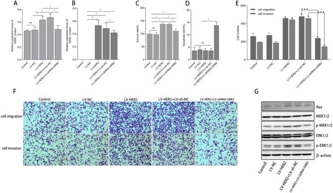 https://cdn.ncbi.nlm.nih.gov/pmc/blobs/4b3b/12034778/7226425427a6/41598_2025_99685_Fig2_HTML.jpg