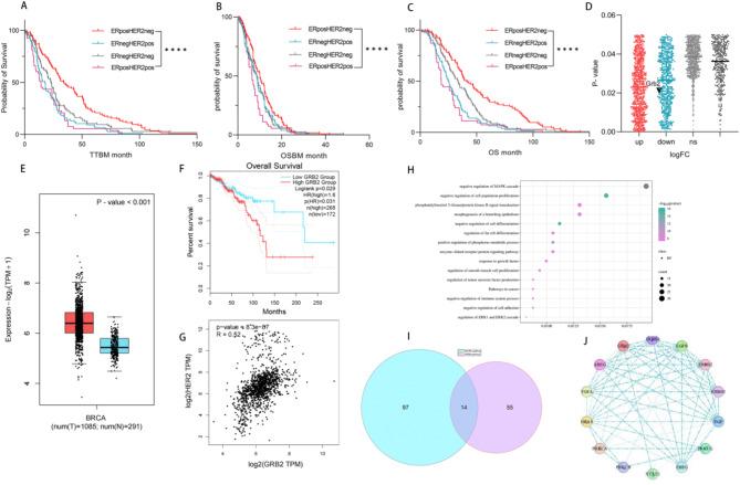 https://cdn.ncbi.nlm.nih.gov/pmc/blobs/4b3b/12034778/e29c5dca0491/41598_2025_99685_Fig1_HTML.jpg