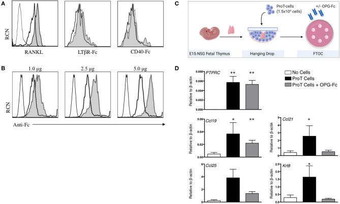 https://cdn.ncbi.nlm.nih.gov/pmc/blobs/4b3b/7462002/e106a076cedb/fimmu-11-01850-g0002.jpg