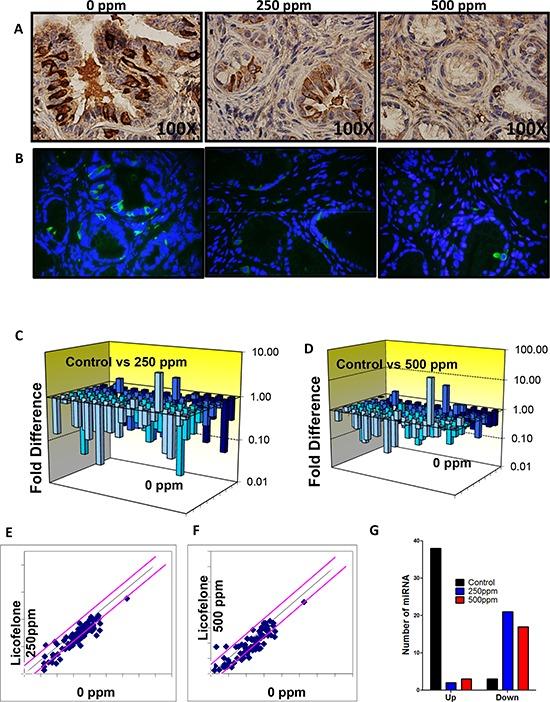 https://cdn.ncbi.nlm.nih.gov/pmc/blobs/4b3c/4558168/4dead4bd0e79/oncotarget-06-15524-g007.jpg