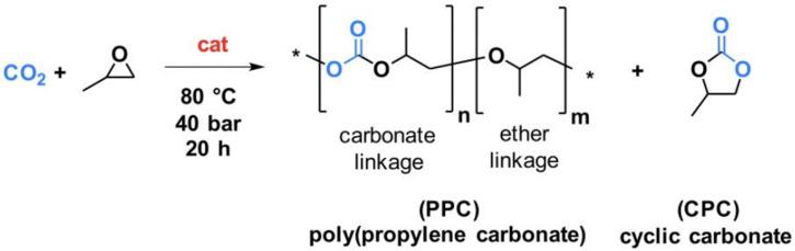 https://cdn.ncbi.nlm.nih.gov/pmc/blobs/4b3d/12027896/0a1006cbe913/ijms-26-03878-sch001.jpg