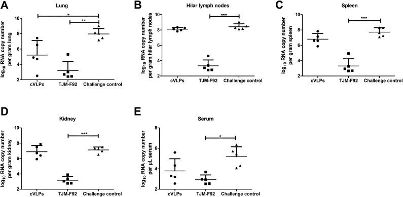 https://cdn.ncbi.nlm.nih.gov/pmc/blobs/4b3d/8437722/452d965803a8/jvms-83-1263-g006.jpg