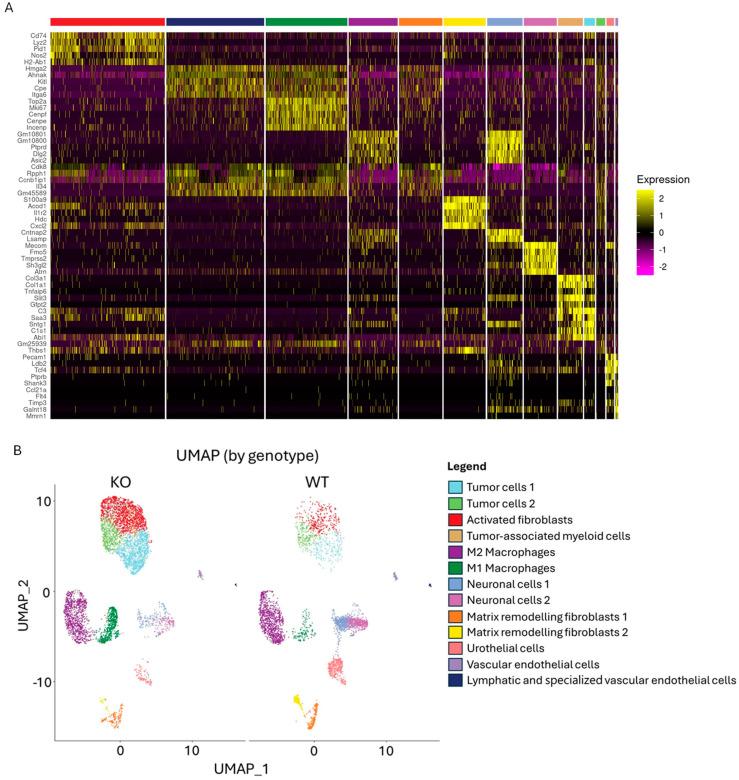 https://cdn.ncbi.nlm.nih.gov/pmc/blobs/4b3f/11676541/ffef29f574a9/ijms-25-13296-g003.jpg