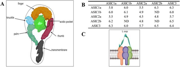 https://cdn.ncbi.nlm.nih.gov/pmc/blobs/4b40/10477349/07f01acc9842/41420_2023_1624_Fig1_HTML.jpg