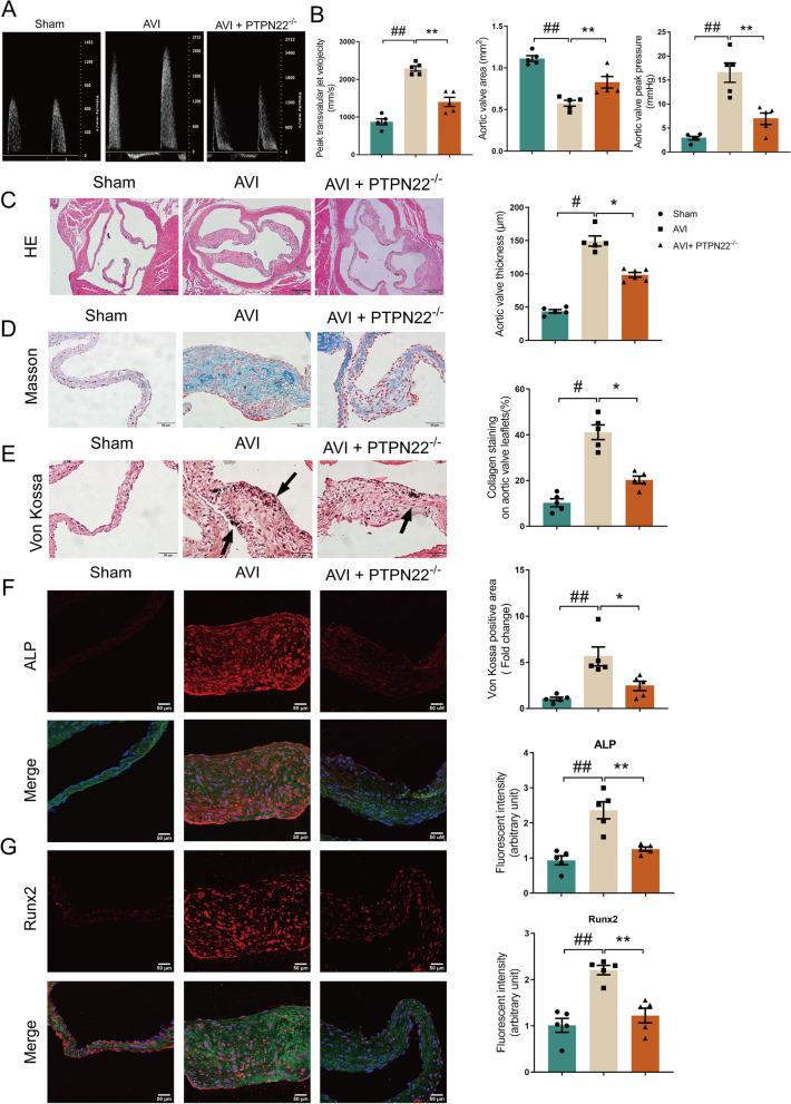 https://cdn.ncbi.nlm.nih.gov/pmc/blobs/4b41/10347738/3a704aefb012/12916_2023_2888_Fig3_HTML.jpg