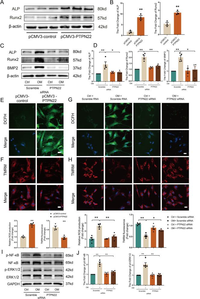 https://cdn.ncbi.nlm.nih.gov/pmc/blobs/4b41/10347738/4ac74f6ae0ba/12916_2023_2888_Fig2_HTML.jpg
