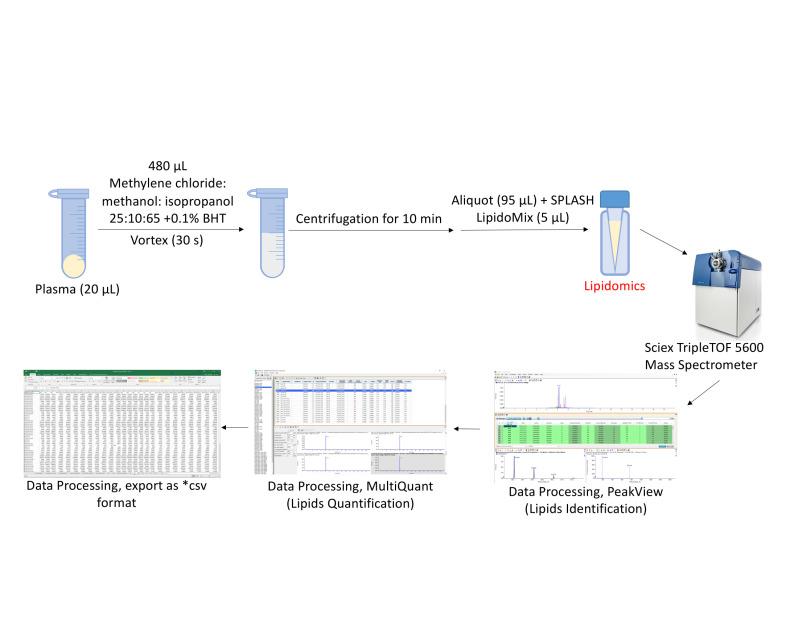 https://cdn.ncbi.nlm.nih.gov/pmc/blobs/4b41/10518786/b3dc879e472c/BioProtoc-13-18-4819-g002.jpg