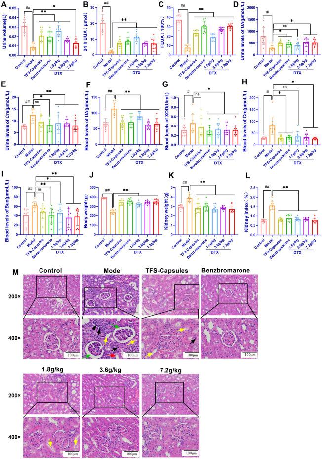 https://cdn.ncbi.nlm.nih.gov/pmc/blobs/4b41/11232504/32039e881b70/fphar-15-1300131-g003.jpg