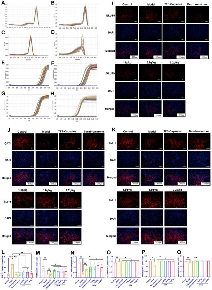 https://cdn.ncbi.nlm.nih.gov/pmc/blobs/4b41/11232504/e83be765fcf9/fphar-15-1300131-g006.jpg