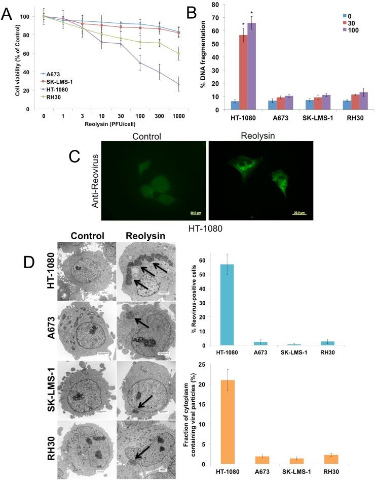 https://cdn.ncbi.nlm.nih.gov/pmc/blobs/4b44/5689724/4294b52a95e8/oncotarget-08-86769-g001.jpg