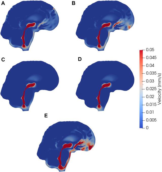 https://cdn.ncbi.nlm.nih.gov/pmc/blobs/4b45/9510842/138588485ea1/fbioe-10-932469-g003.jpg