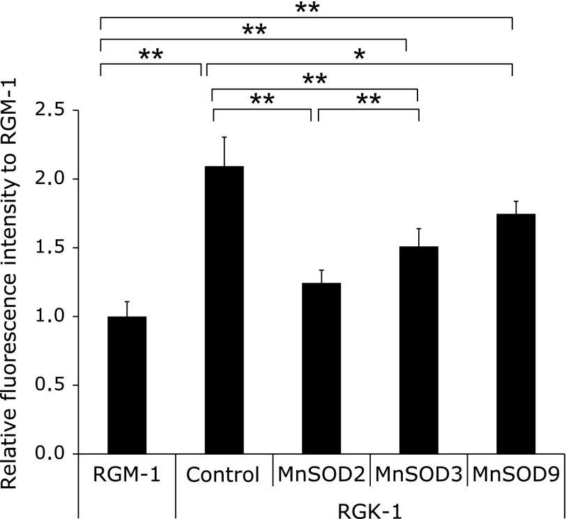 https://cdn.ncbi.nlm.nih.gov/pmc/blobs/4b46/3882482/70d137c446f2/jcbn13-36f02.jpg