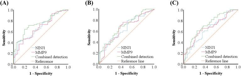 https://cdn.ncbi.nlm.nih.gov/pmc/blobs/4b47/12066259/38ef905bf970/fneur-16-1552948-g002.jpg