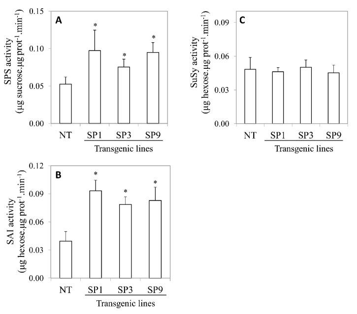https://cdn.ncbi.nlm.nih.gov/pmc/blobs/4b48/7076389/d6320fb81ebe/plants-09-00200-g002.jpg