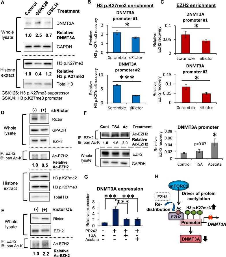 https://cdn.ncbi.nlm.nih.gov/pmc/blobs/4b49/10935831/c1be7ad935c3/40478_2024_1750_Fig3_HTML.jpg