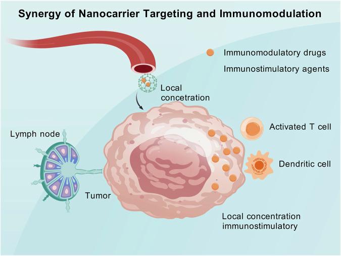 https://cdn.ncbi.nlm.nih.gov/pmc/blobs/4b4b/12332414/a97dfb247e76/fcell-13-1648379-g003.jpg