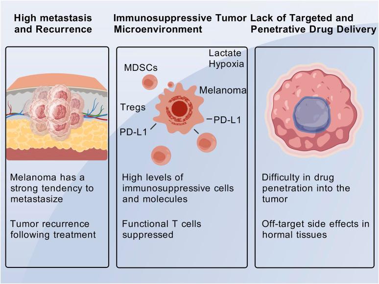 https://cdn.ncbi.nlm.nih.gov/pmc/blobs/4b4b/12332414/b992bfef0f95/fcell-13-1648379-g001.jpg