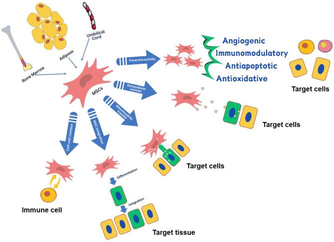 https://cdn.ncbi.nlm.nih.gov/pmc/blobs/4b4c/11463160/8f9fc301c210/13287_2024_3957_Fig3_HTML.jpg
