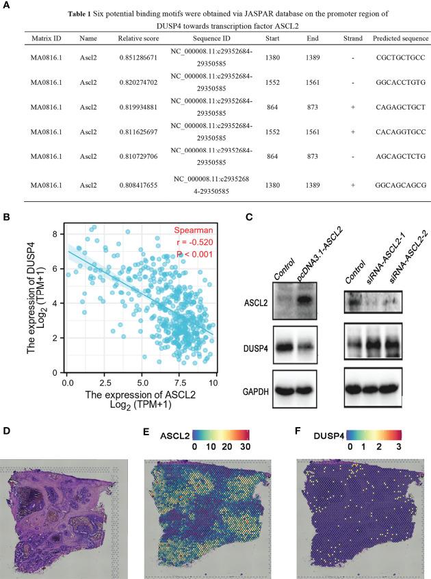 https://cdn.ncbi.nlm.nih.gov/pmc/blobs/4b4c/9237783/670c1ab6f957/fimmu-13-829640-g009.jpg