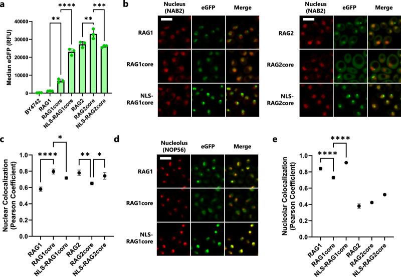 https://cdn.ncbi.nlm.nih.gov/pmc/blobs/4b51/12216023/35d89d11f8a2/41467_2025_61206_Fig1_HTML.jpg