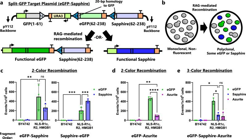 https://cdn.ncbi.nlm.nih.gov/pmc/blobs/4b51/12216023/6dabfbf568d7/41467_2025_61206_Fig6_HTML.jpg