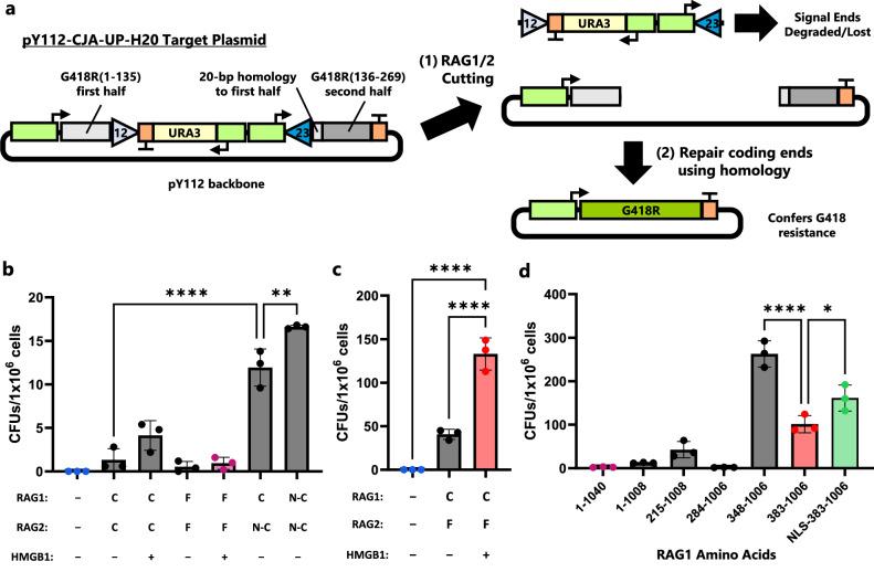 https://cdn.ncbi.nlm.nih.gov/pmc/blobs/4b51/12216023/7299771ef1d2/41467_2025_61206_Fig2_HTML.jpg