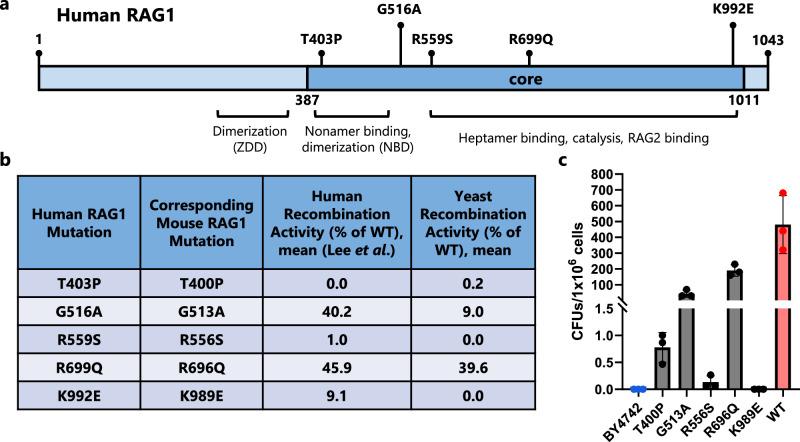 https://cdn.ncbi.nlm.nih.gov/pmc/blobs/4b51/12216023/759b20b912ed/41467_2025_61206_Fig5_HTML.jpg