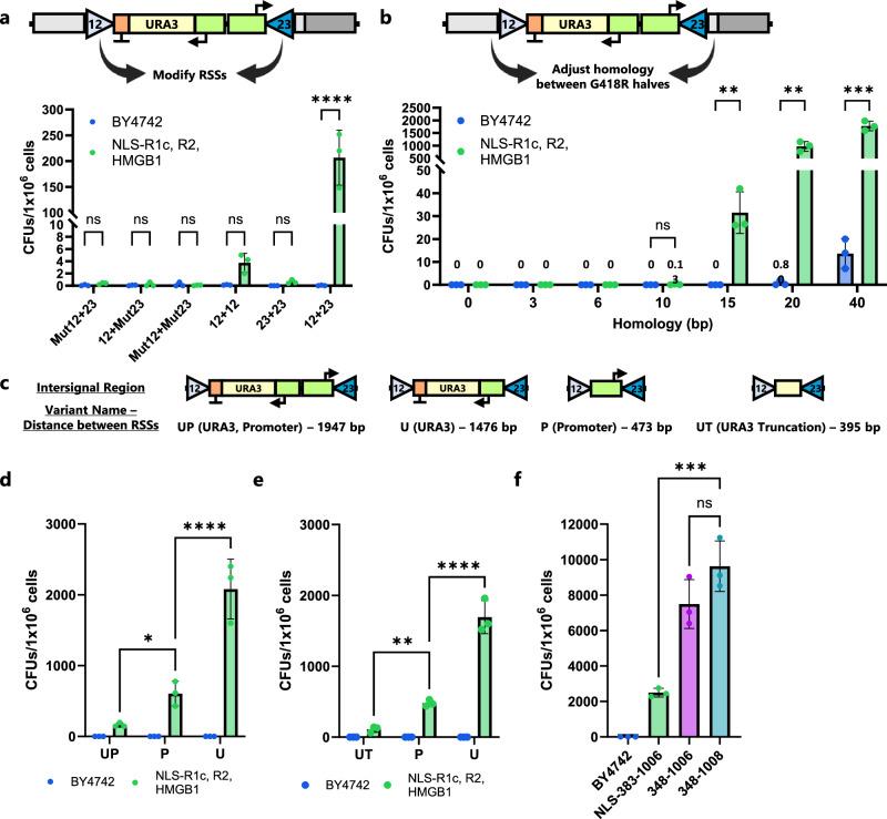 https://cdn.ncbi.nlm.nih.gov/pmc/blobs/4b51/12216023/b1f56147ee43/41467_2025_61206_Fig3_HTML.jpg