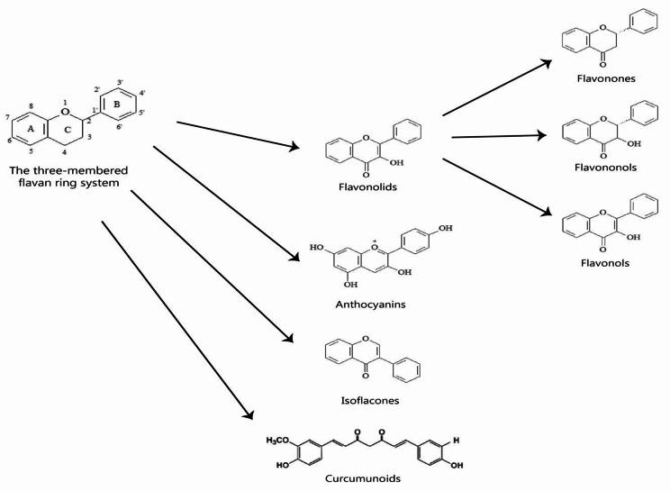 https://cdn.ncbi.nlm.nih.gov/pmc/blobs/4b52/11705833/596de1255998/12935_2024_3632_Fig1_HTML.jpg