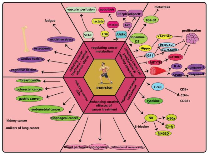 https://cdn.ncbi.nlm.nih.gov/pmc/blobs/4b52/11705833/70e481b74409/12935_2024_3632_Fig3_HTML.jpg