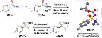 https://cdn.ncbi.nlm.nih.gov/pmc/blobs/4b52/7590120/fcd2f8245488/CHEM-26-12533-g004.jpg