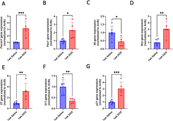https://cdn.ncbi.nlm.nih.gov/pmc/blobs/4b53/12049473/85b4bdaf526e/41598_2025_98617_Fig4_HTML.jpg