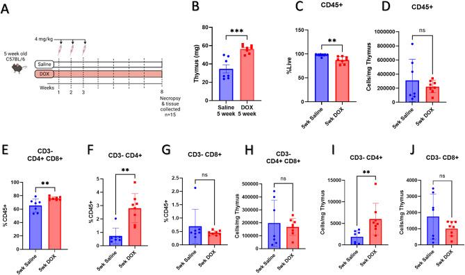 https://cdn.ncbi.nlm.nih.gov/pmc/blobs/4b53/12049473/e6da3541ea0c/41598_2025_98617_Fig5_HTML.jpg
