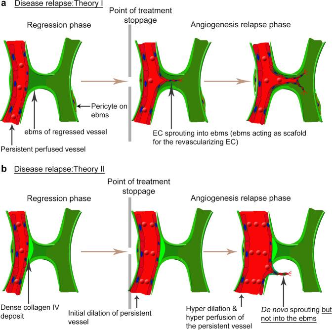 https://cdn.ncbi.nlm.nih.gov/pmc/blobs/4b53/8080572/00dc5034608a/12276_2021_566_Fig3_HTML.jpg