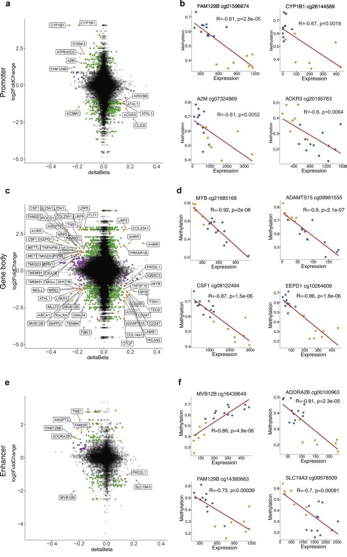 https://cdn.ncbi.nlm.nih.gov/pmc/blobs/4b56/6710853/5e23494745e7/gr4.jpg