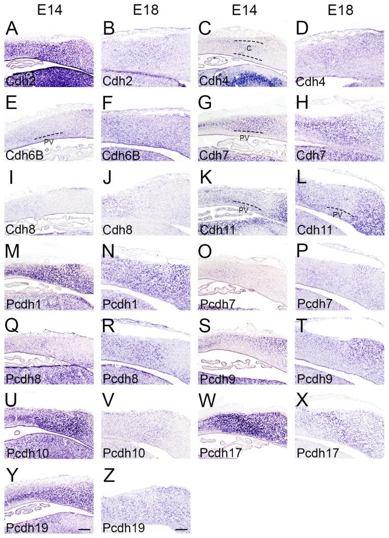 https://cdn.ncbi.nlm.nih.gov/pmc/blobs/4b58/7075654/1b89ae6f651f/en-29-011f6.jpg