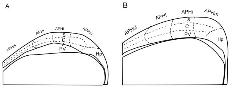 https://cdn.ncbi.nlm.nih.gov/pmc/blobs/4b58/7075654/a8a5280d658c/en-29-011f2.jpg