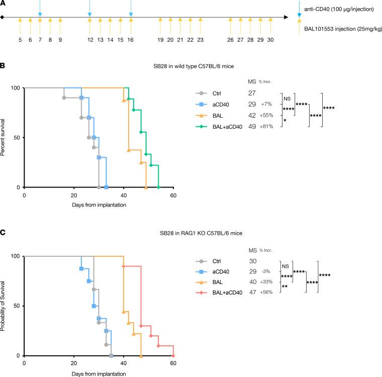 https://cdn.ncbi.nlm.nih.gov/pmc/blobs/4b5b/8492343/3ad6ecbebff8/jciinsight-6-142980-g036.jpg