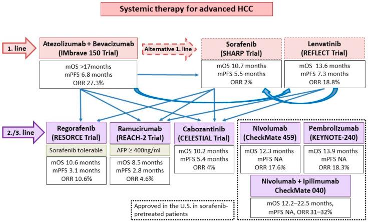 https://cdn.ncbi.nlm.nih.gov/pmc/blobs/4b60/8072916/ae757dde3680/cancers-13-01949-g004.jpg