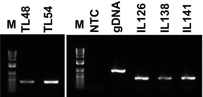 https://cdn.ncbi.nlm.nih.gov/pmc/blobs/4b63/6443859/5d60ed8d6503/FEB4-9-814-g004.jpg