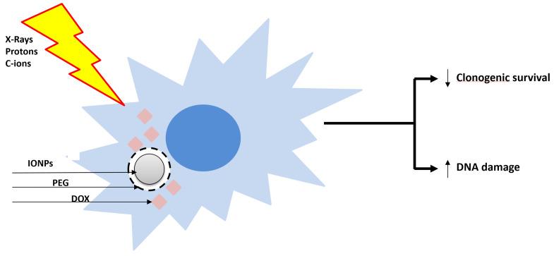 https://cdn.ncbi.nlm.nih.gov/pmc/blobs/4b64/12071746/56f0d7847f68/cancers-17-01580-g002.jpg